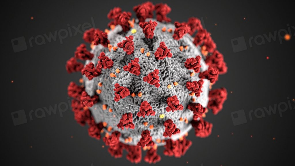 Ultrastructural morphology exhibited by coronaviruses