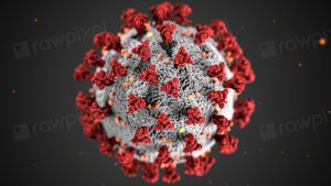 Ultrastructural morphology exhibited by coronaviruses
